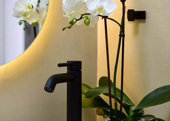 The Cove House Holiday home